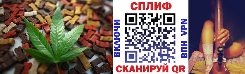 Canna-Cookies марихуана  ОМГ ОМГ как войти  Урус-Мартан 