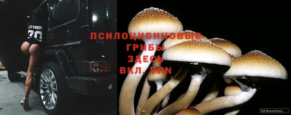 прущая мука Баксан