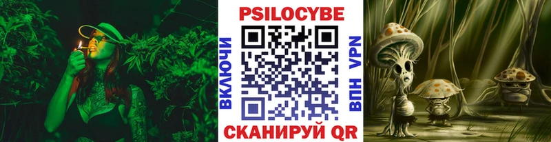 магазин продажи   Урус-Мартан  Псилоцибиновые грибы Psilocybine cubensis 